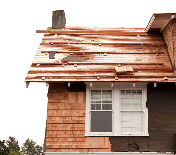 Affordable Siding Repair and Maintenance Services in New Market, TN